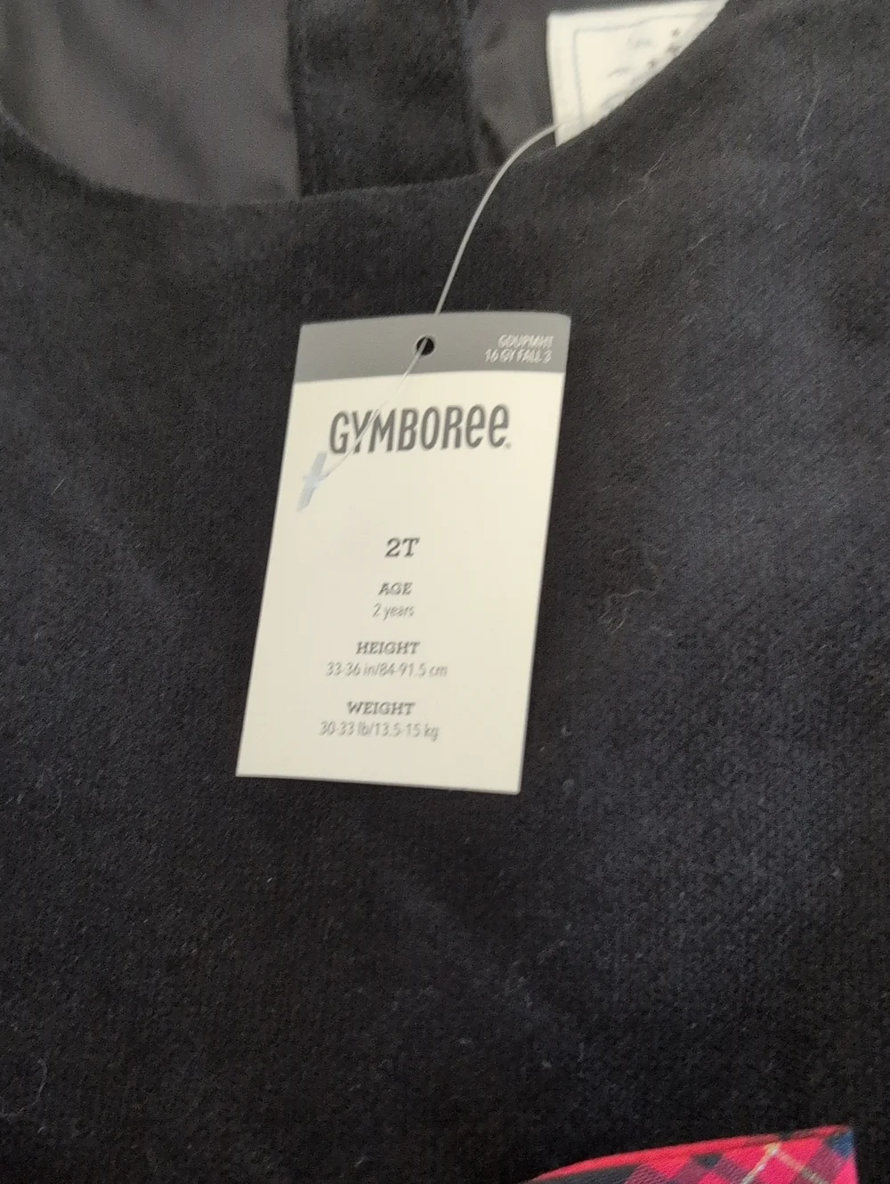 Gymboree 2T dress